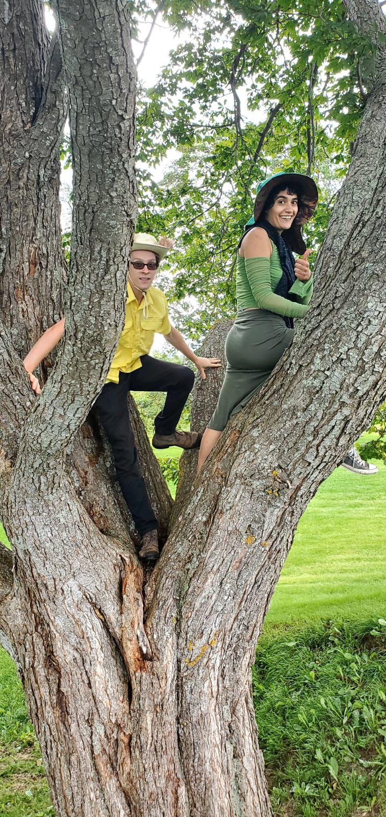 Tree care professional performing arborist work