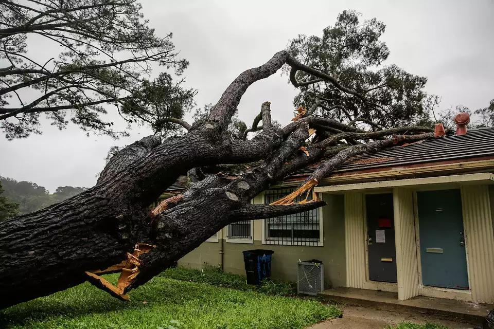 Emergency tree removal after a storm