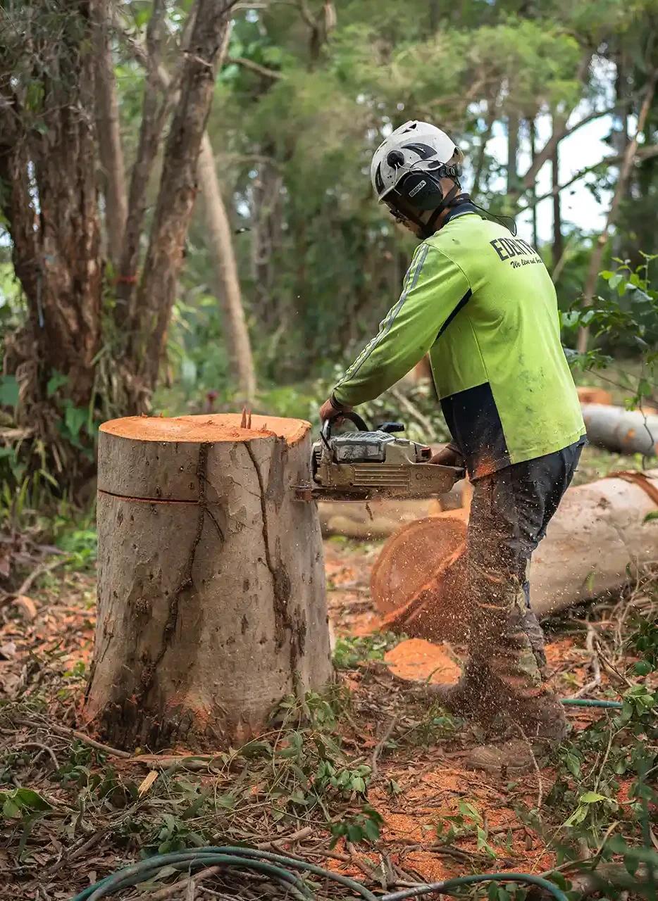 Emergency tree service response