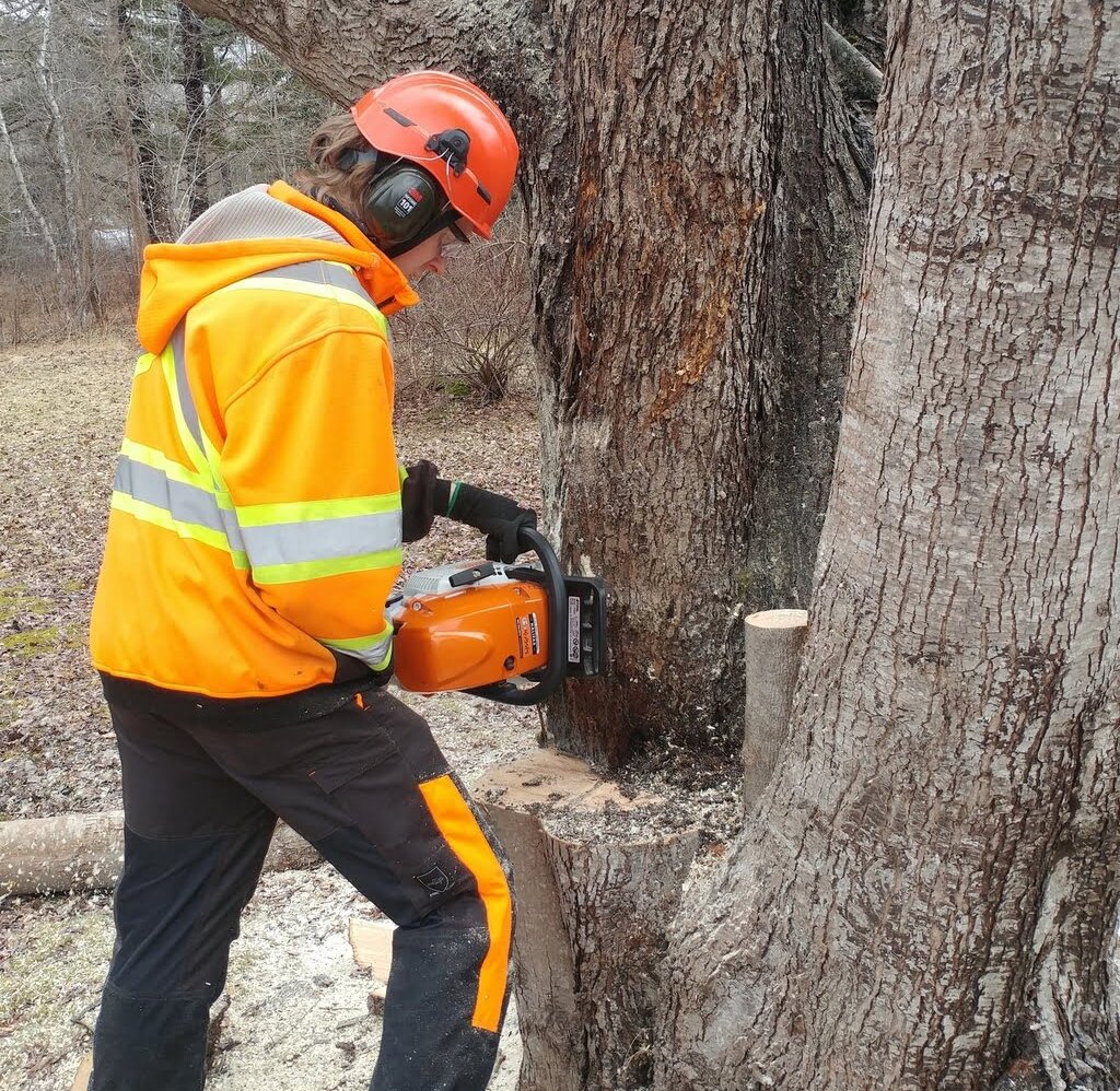 Icon for Tree Removal