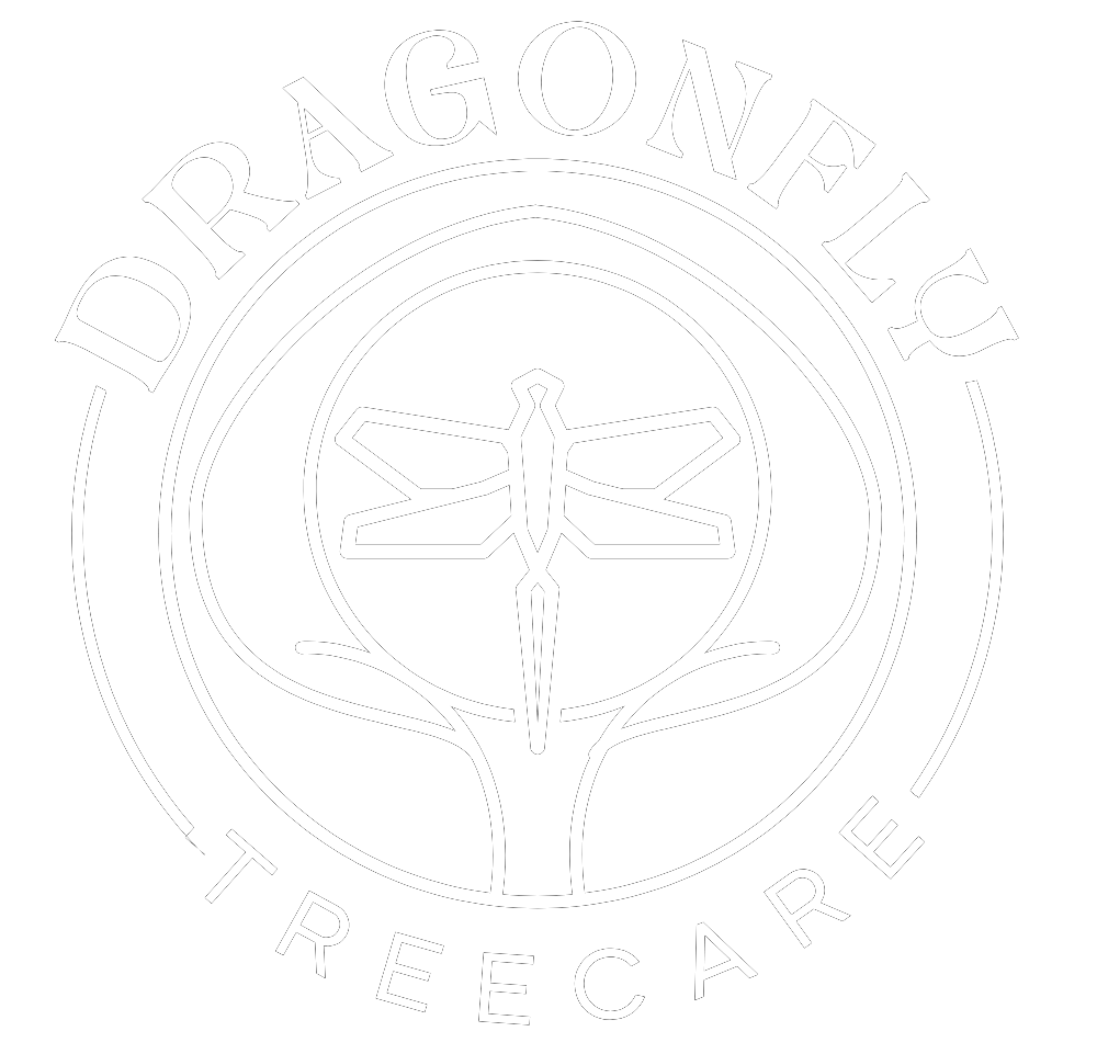 Dragonfly Tree Care